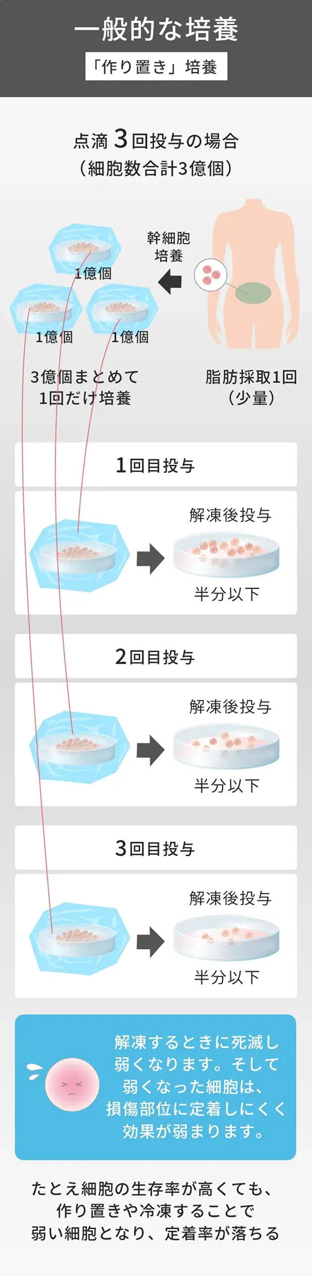 一般的な培養「作り置き培養」のイラスト解説