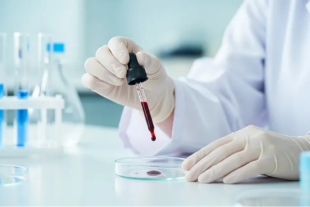 幹細胞の培養のイメージ画像