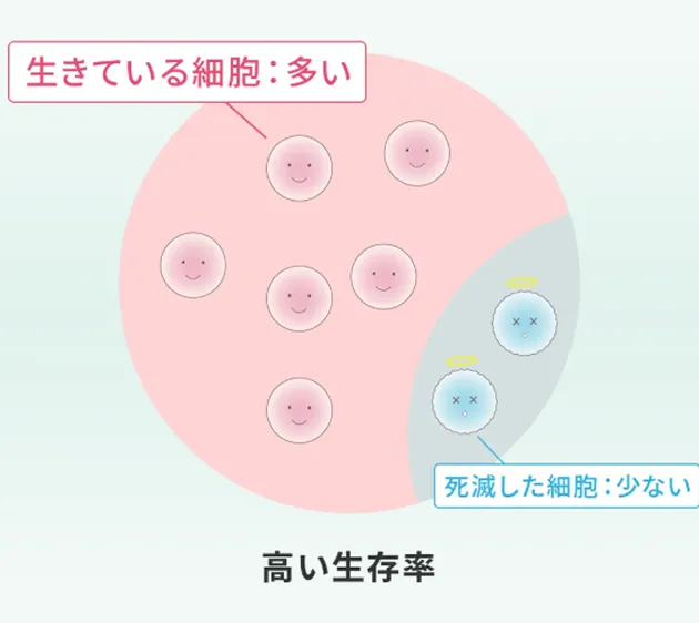 当院の幹細胞培養の解説イラスト