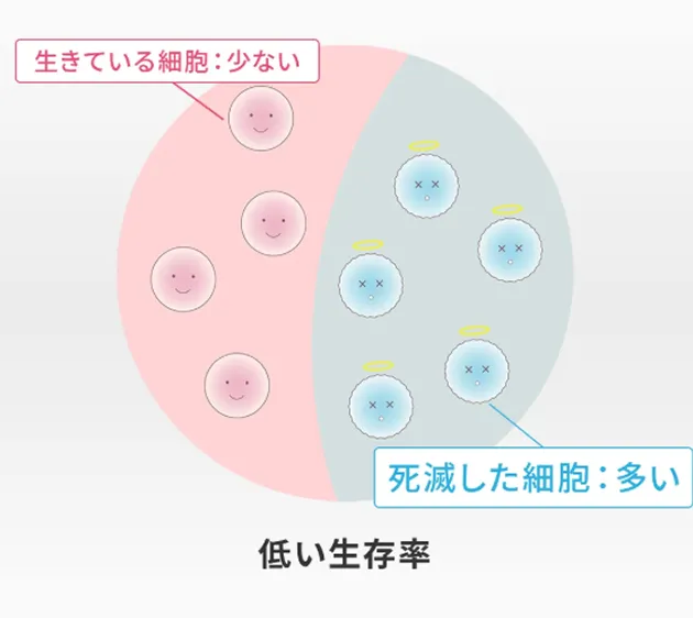 一般的な培養の解説イラスト