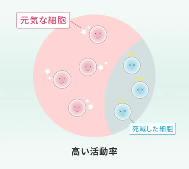 当院の幹細胞培養の解説イラスト
