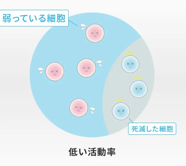 一般的な培養の解説イラスト