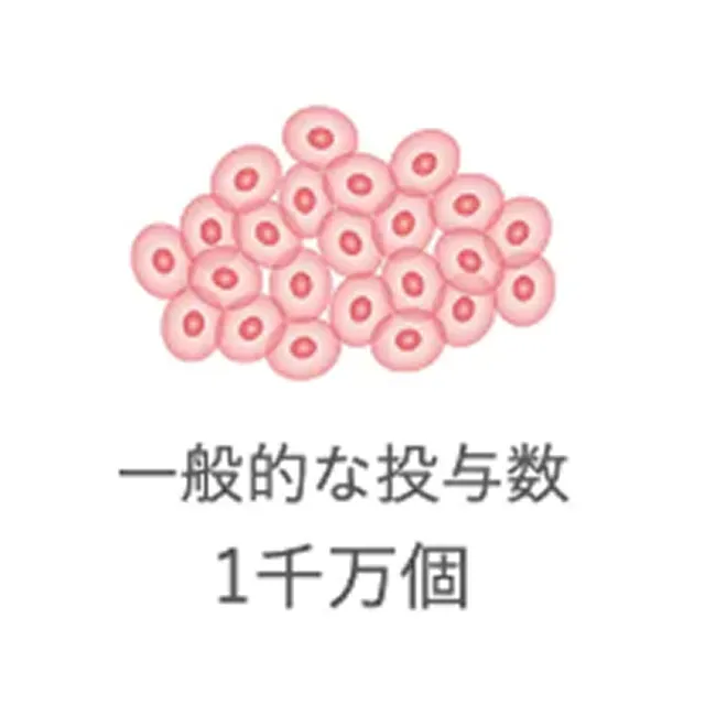 一般的な培養の幹細胞投与