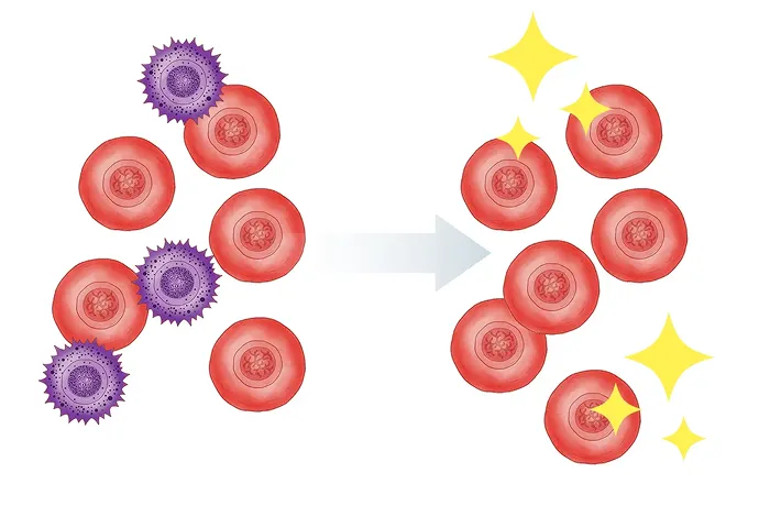 パラクライン効果の解説イラスト