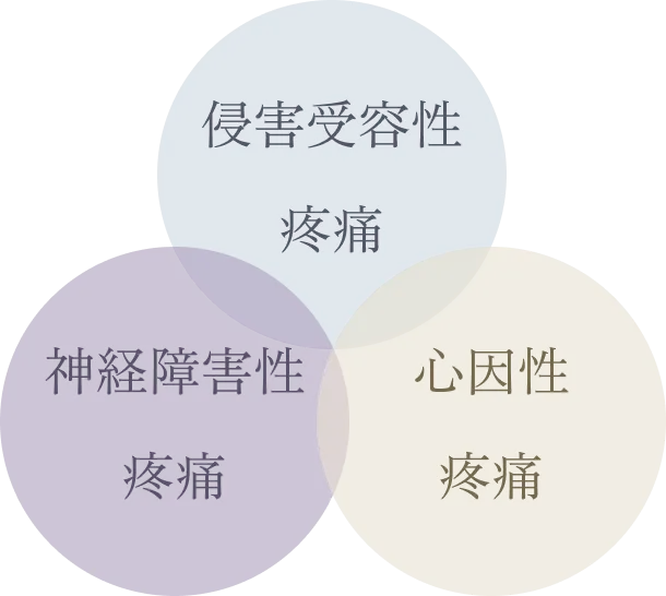 侵害受容性疼痛 神経障害性疼痛 心因性疼痛