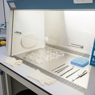 培養開始前準備の様子