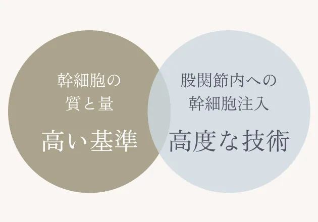 幹細胞の質と量 高い基準 股関節内への幹細胞注入 高度な技術