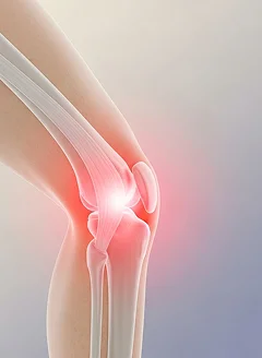 膝の外側の痛みのイメージ画像