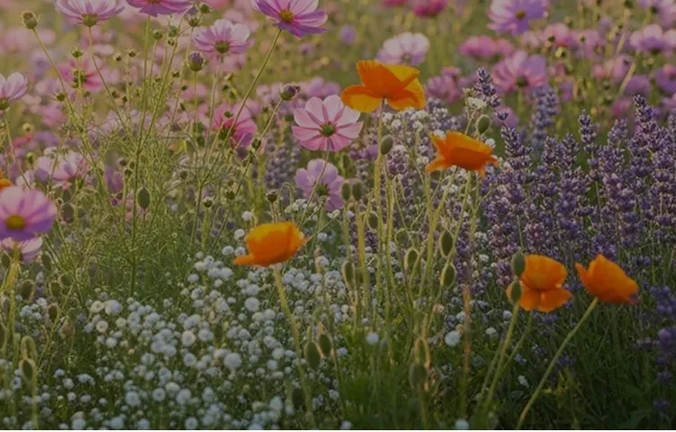 東京渋谷の再生医療クリニック｜CLINIC SHIBUYA（クリニック渋谷）