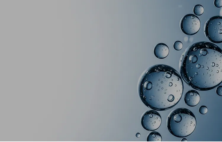 プライバシーポリシー