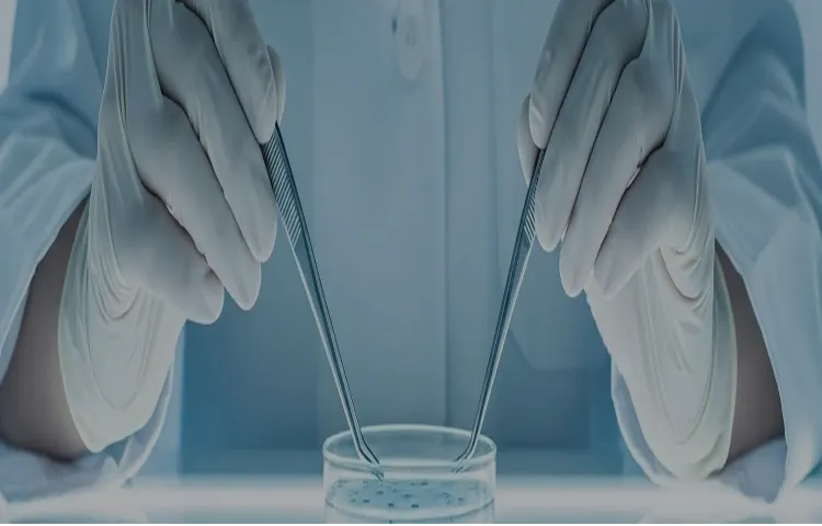 再生医療／独自の細胞培養技術