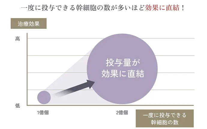 一度に投与できる幹細胞の数が多いほど効果に直結！ 投与量が効果に直結することを示したグラフ