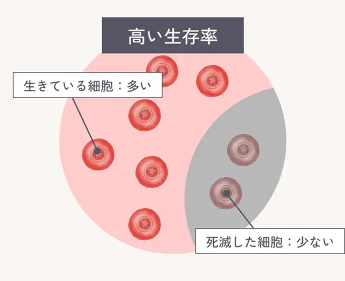 当院の幹細胞培養の解説イラスト
