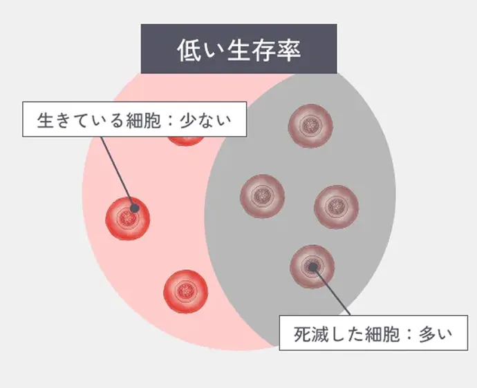 一般的な培養の解説イラスト