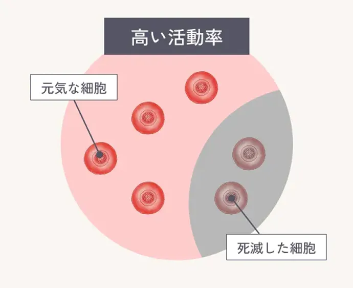 当院の幹細胞培養の解説イラスト