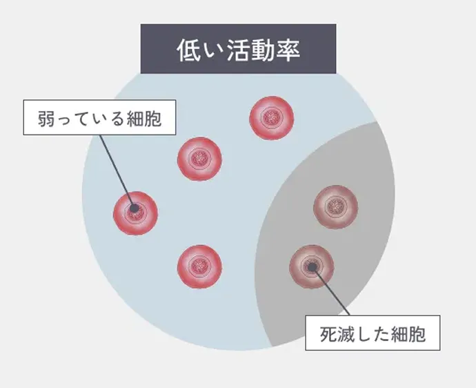 一般的な培養の解説イラスト