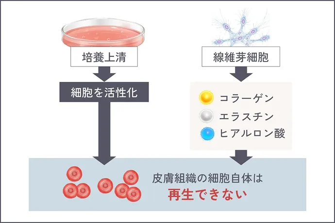 一般的な治療の図解