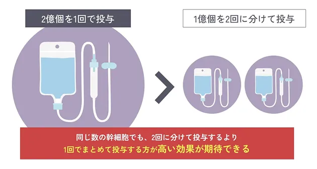 同じ数の幹細胞でも、2回に分けて投与するより1回でまとめて投与する方が高い効果が期待できる