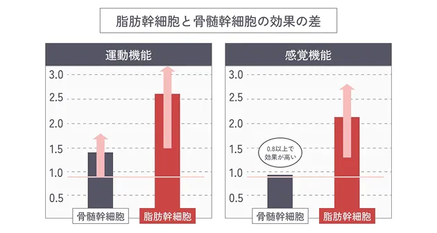 脂肪幹細胞と骨髄幹細胞の効果の差を示したグラフ