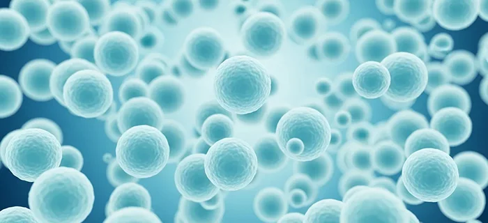 幹細胞の投与量2億個のイメージ写真