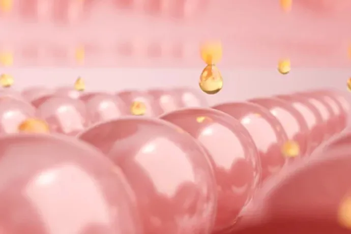 幹細胞の培養イメージ画像